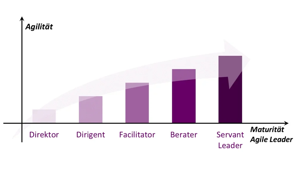 Stufenentwicklung Agile Leader